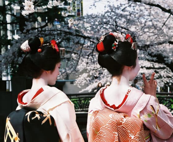 Geisha blossoms kyoto