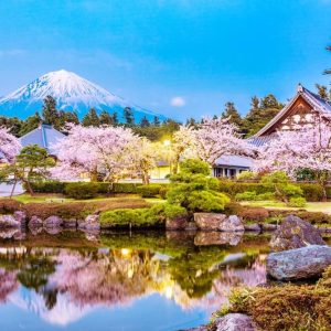 Book Mt Fuji Famous Food Tour with Transportation