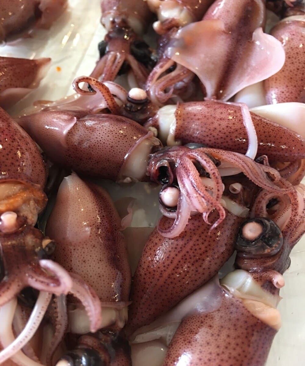 Hotaru Ika A Dive Into Japan s Beloved Spring Squid Arigato Travel