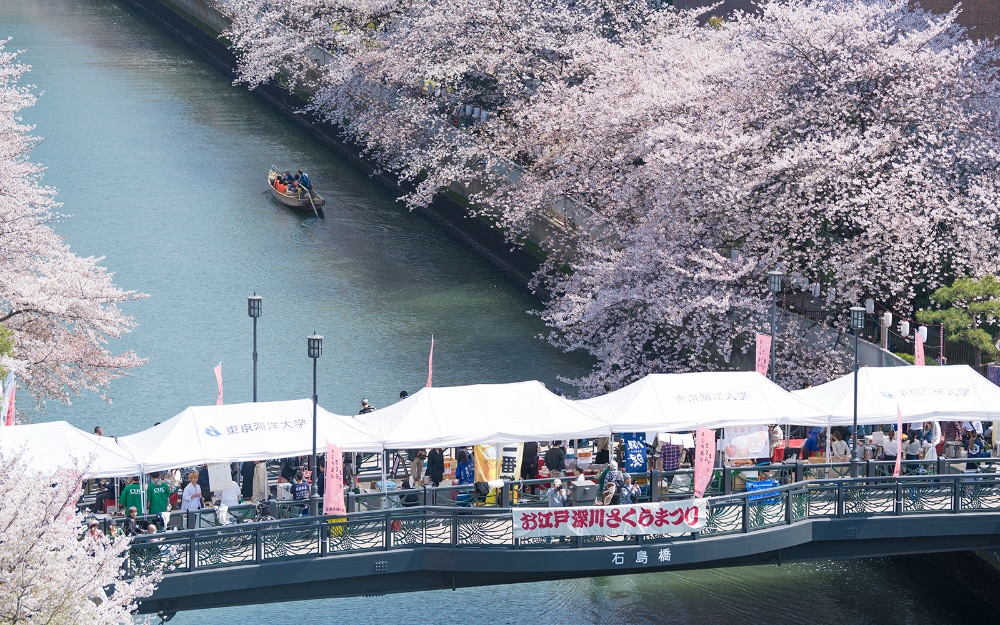 Edo Fukagawa Sakura Festival